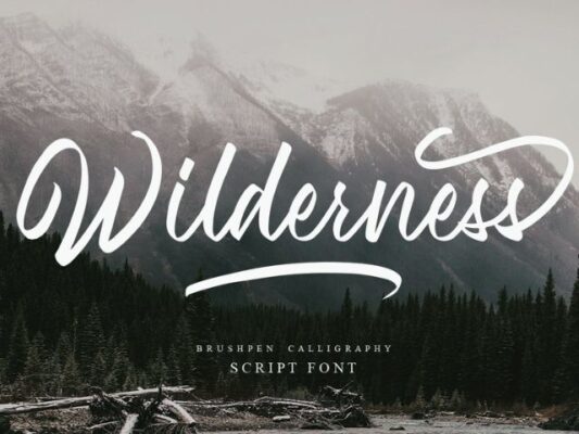 Wilderness Script Font